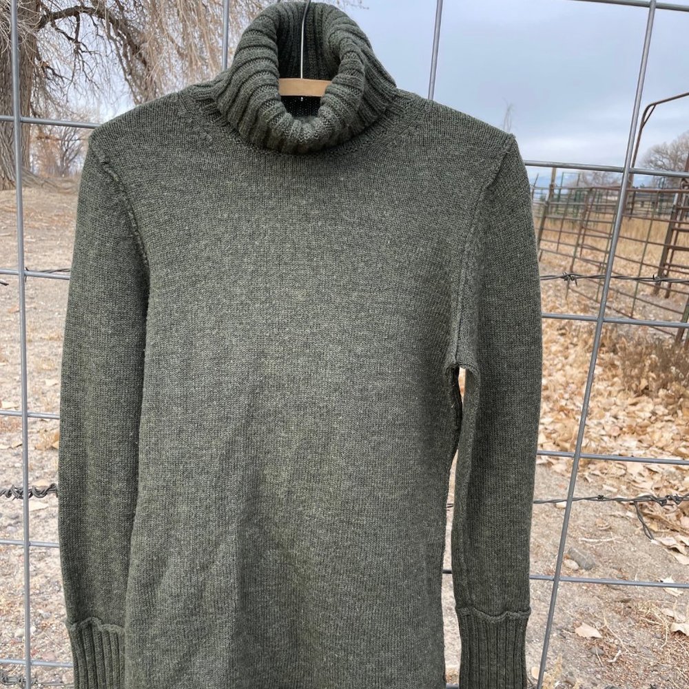 Banana Republic Women's Italian Merino Wool Sage Green Turtleneck Sweater Size M